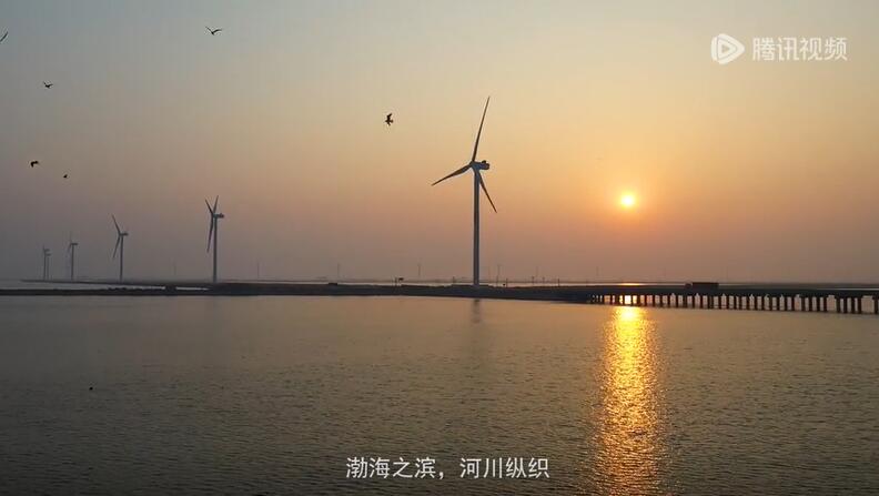 2020年山東新達(dá)發(fā)展交流會視頻